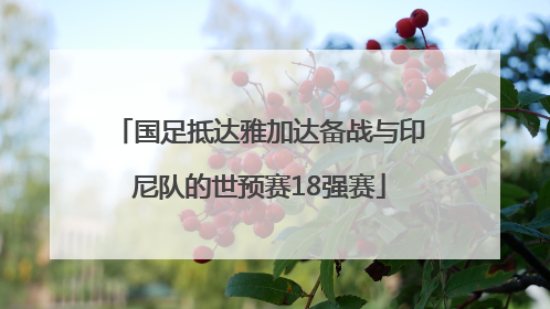 国足抵达雅加达备战与印尼队的世预赛18强赛