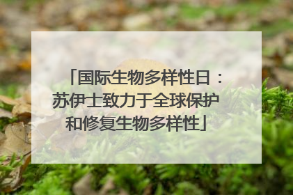 国际生物多样性日：苏伊士致力于全球保护和修复生物多样性