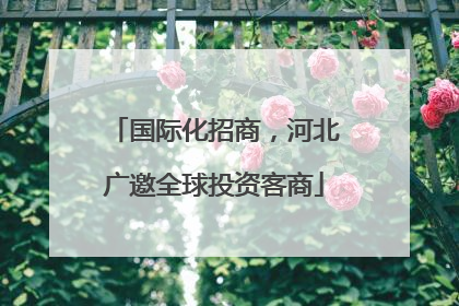 国际化招商，河北广邀全球投资客商