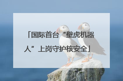 国际首台“壁虎机器人”上岗守护核安全