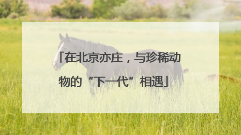 在北京亦庄，与珍稀动物的“下一代”相遇