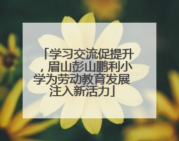 学习交流促提升，眉山彭山鹏利小学为劳动教育发展注入新活力