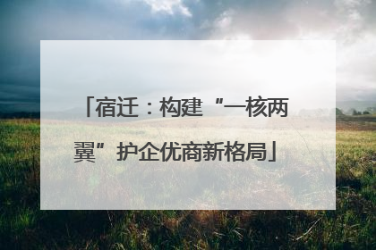 宿迁：构建“一核两翼”护企优商新格局