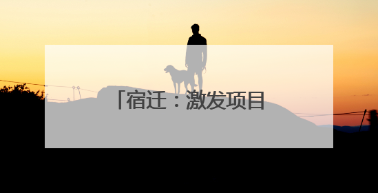 宿迁：激发项目“引擎” 挺起发展“脊梁”