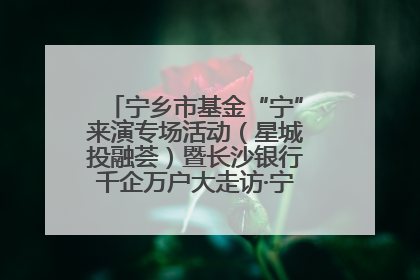 宁乡市基金“宁”来演专场活动（星城投融荟）暨长沙银行千企万户大走访·宁乡专场活动举行
