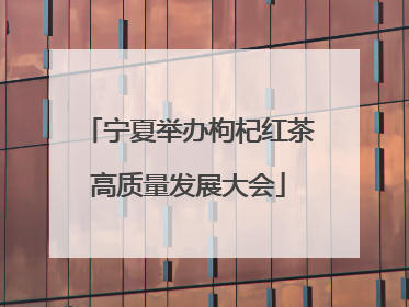宁夏举办枸杞红茶高质量发展大会