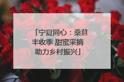 宁夏同心：桑葚丰收季 甜蜜采摘助力乡村振兴