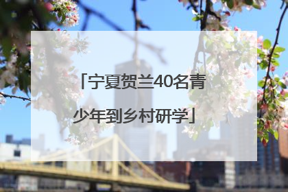 宁夏贺兰40名青少年到乡村研学