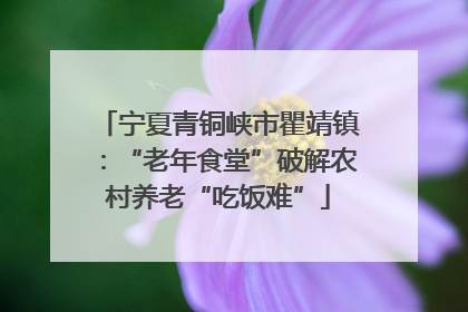 宁夏青铜峡市瞿靖镇：“老年食堂”破解农村养老“吃饭难”