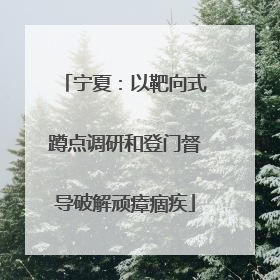 宁夏：以靶向式蹲点调研和登门督导破解顽瘴痼疾