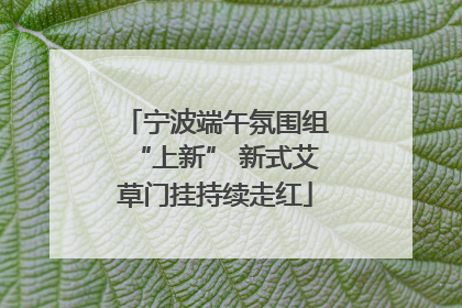 宁波端午氛围组“上新” 新式艾草门挂持续走红