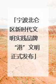 宁波北仑区新时代文明实践品牌“港”文明正式发布