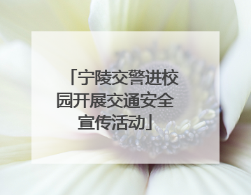 宁陵交警进校园开展交通安全宣传活动