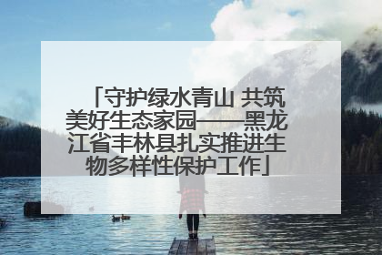 守护绿水青山 共筑美好生态家园——黑龙江省丰林县扎实推进生物多样性保护工作