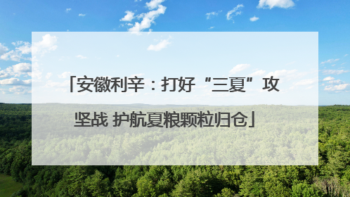 安徽利辛：打好“三夏”攻坚战 护航夏粮颗粒归仓