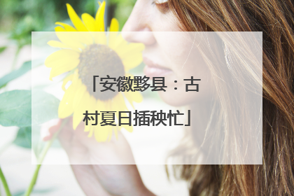 安徽黟县：古村夏日插秧忙