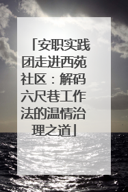 安职实践团走进西苑社区：解码六尺巷工作法的温情治理之道