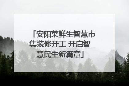 安阳菜鲜生智慧市集装修开工 开启智慧民生新篇章