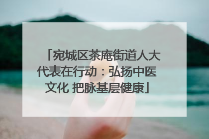 宛城区茶庵街道人大代表在行动：弘扬中医文化 把脉基层健康