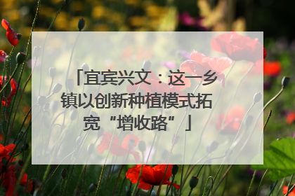 宜宾兴文：这一乡镇以创新种植模式拓宽“增收路”