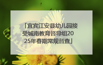 宜宾江安县幼儿园接受城南教育督导组2025年春期常规督查