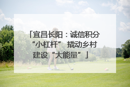 宜昌长阳：诚信积分“小杠杆” 撬动乡村建设“大能量”
