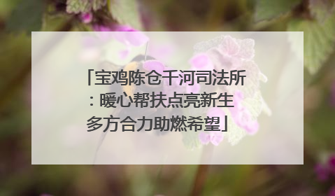 宝鸡陈仓千河司法所：暖心帮扶点亮新生 多方合力助燃希望