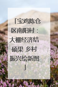 宝鸡陈仓区南阳村：大棚经济结硕果 乡村振兴绘新图