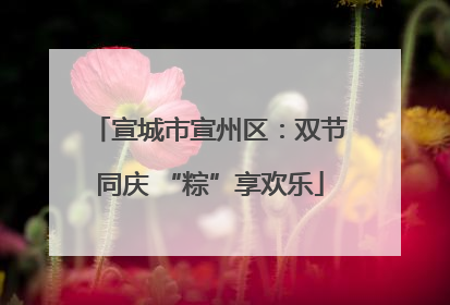 宣城市宣州区：双节同庆 “粽”享欢乐