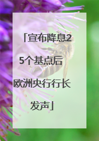 宣布降息25个基点后 欧洲央行行长发声