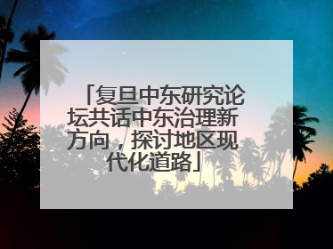 复旦中东研究论坛共话中东治理新方向，探讨地区现代化道路