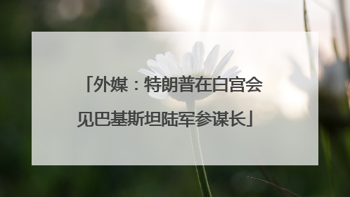 外媒：特朗普在白宫会见巴基斯坦陆军参谋长