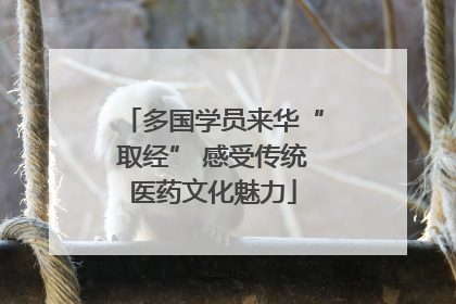 多国学员来华“取经” 感受传统医药文化魅力