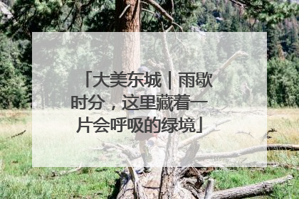 大美东城｜雨歇时分，这里藏着一片会呼吸的绿境