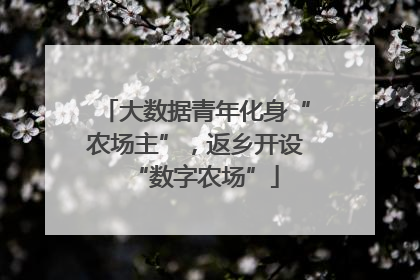 大数据青年化身“农场主”，返乡开设“数字农场”