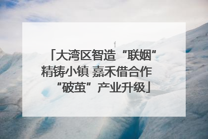 大湾区智造“联姻”精铸小镇 嘉禾借合作“破茧”产业升级