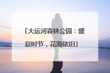 大运河森林公园：盛夏时节，花海依旧