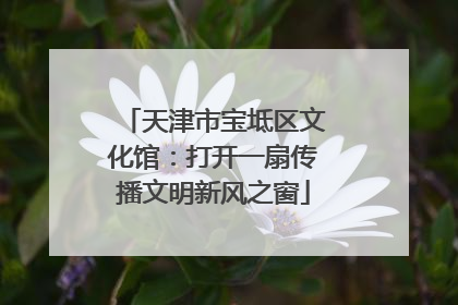 天津市宝坻区文化馆：打开一扇传播文明新风之窗