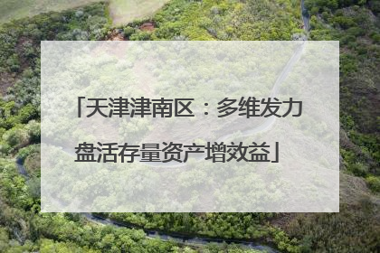 天津津南区：多维发力盘活存量资产增效益