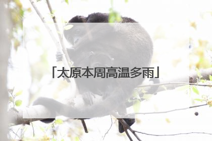 太原本周高温多雨