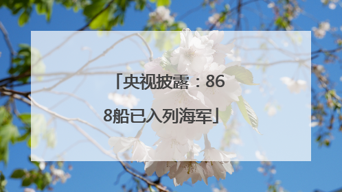 央视披露：868船已入列海军