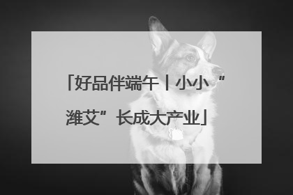 好品伴端午丨小小“潍艾”长成大产业