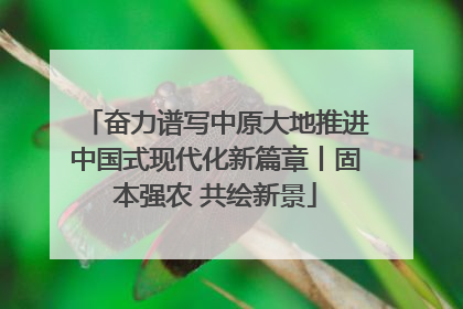 奋力谱写中原大地推进中国式现代化新篇章丨固本强农 共绘新景