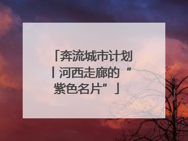 奔流城市计划丨河西走廊的“紫色名片”