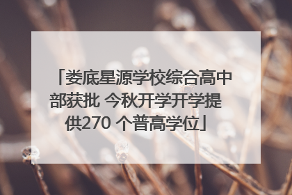 娄底星源学校综合高中部获批 今秋开学开学提供270 个普高学位