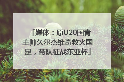 媒体：原U20国青主帅久尔杰维奇救火国足，带队征战东亚杯