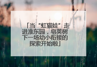 当“虹猫娃”走进淮东园，皂荚树下一场幼小衔接的探索开始啦