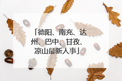德阳、南充、达州、巴中、甘孜、凉山最新人事