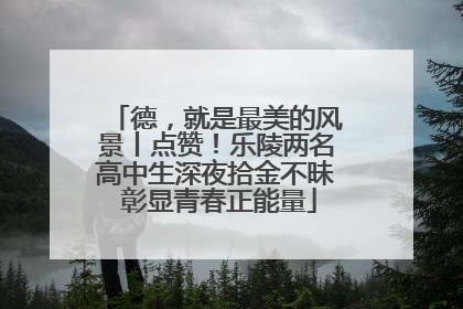 德，就是最美的风景丨点赞！乐陵两名高中生深夜拾金不昧 彰显青春正能量