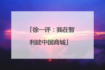 徐一评：我在智利建中国商城